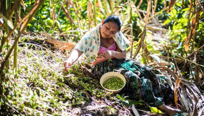 Parfum : Des producteurs d'ingrédients naturels font cause commune à WPC