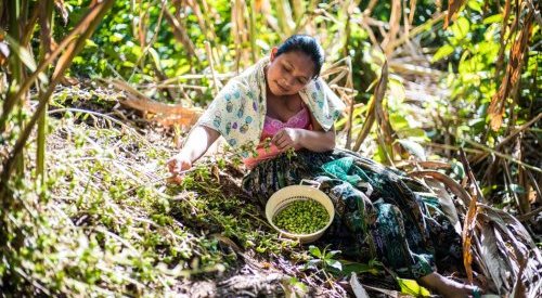 Parfum : Des producteurs d'ingrédients naturels font cause commune à WPC