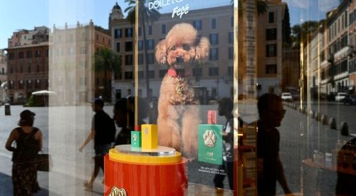 Not to be sniffed at: Dolce & Gabbana launches EUR 99 dog perfume