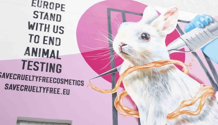 Cosmetics brands campaign against ECHA to maintain EU's ban on animal testing