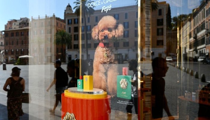 Not to be sniffed at: Dolce & Gabbana launches EUR 99 dog perfume