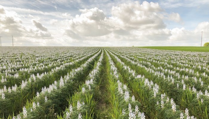 Expanscience : une réponse engagée pour l'environnement et la société