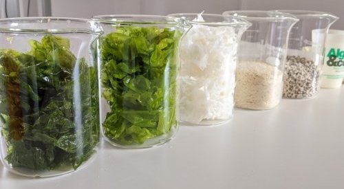 Somater partners with Eranova to create algae-based polymer packaging