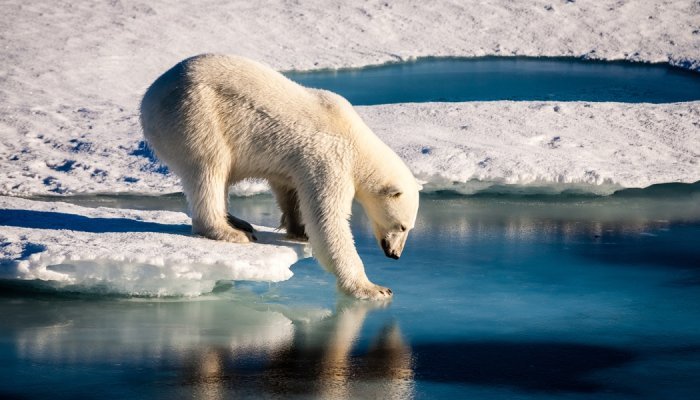 Des pôles aux eaux souterraines, des polluants éternels partout dans la nature