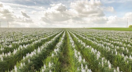 Expanscience : une réponse engagée pour l'environnement et la société